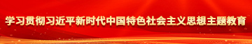 男人日女载软件学习贯彻习近平新时代中国特色社会主义思想主题教育